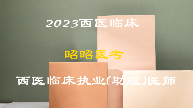2023昭昭医考西医临床执业（助理）全程