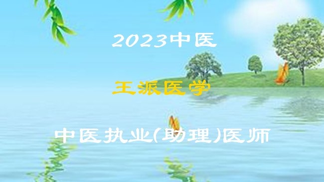 2023王派医学中医执业（助理）全程